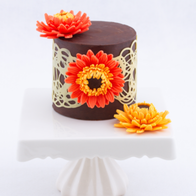 Modeling Chocolate Gerbera Daisy Tutorial on Cake Central