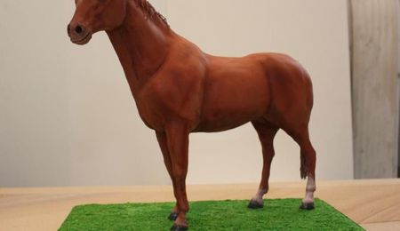 Top Horse Cakes