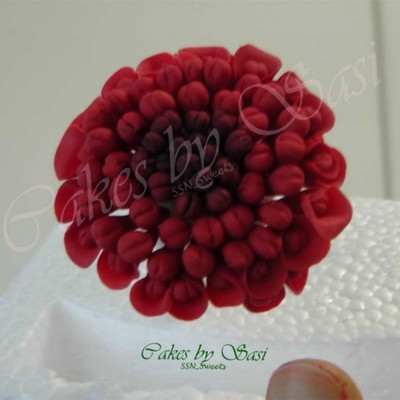 Gumpaste Waratah Flower on Cake Central