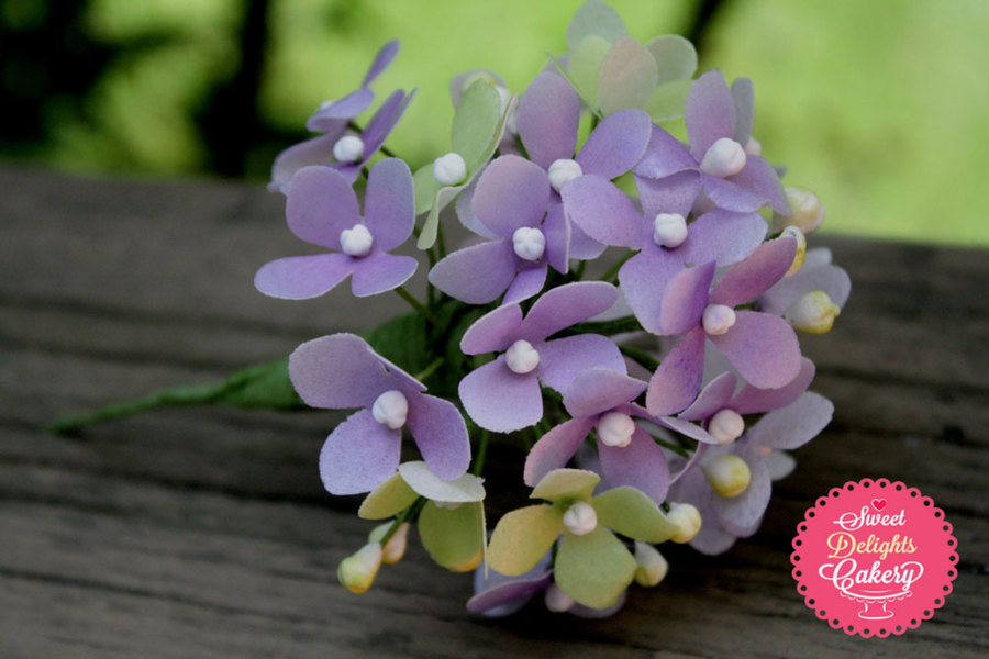 Wafer Paper Hydrangea Tutorial