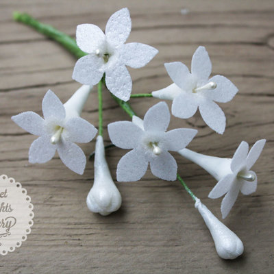 Wafer Paper Stephanotis Tutorial on Cake Central