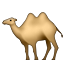 camel.png