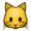 cat.png