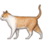 cat2.png