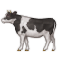 cow2.png