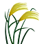 ear_of_rice.png