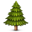evergreen_tree.png