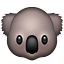 koala.png