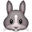 rabbit.png