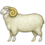 ram.png