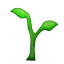 seedling.png