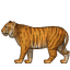 tiger2.png