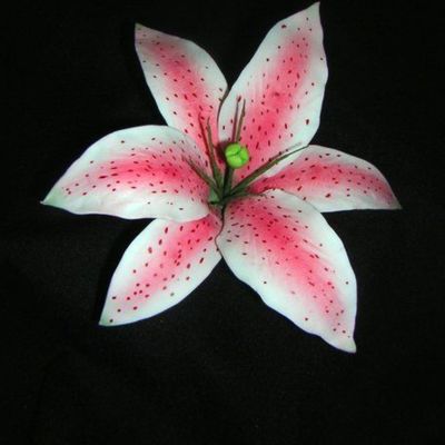 How To Make A Gumpaste Stargazer Lily (Asian Lily) on Cake Central