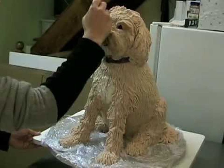 Time Lapse of Elisa Strauss' Sculpted Dog Cake