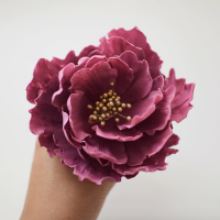 marian_studio Cake Central Cake Decorator Profile