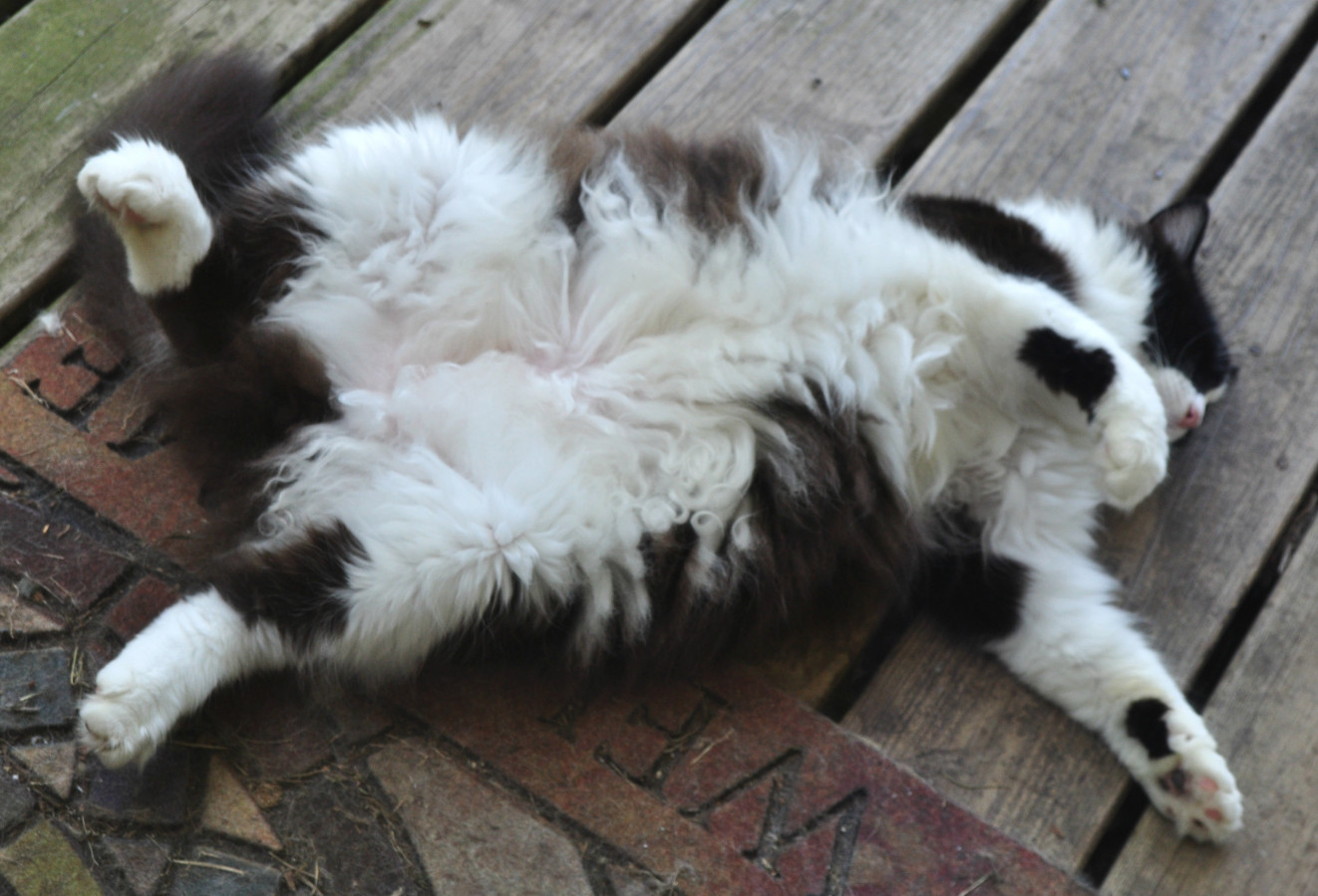 Maybe...just Maybe.........