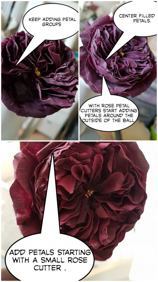 What's Going On In The World