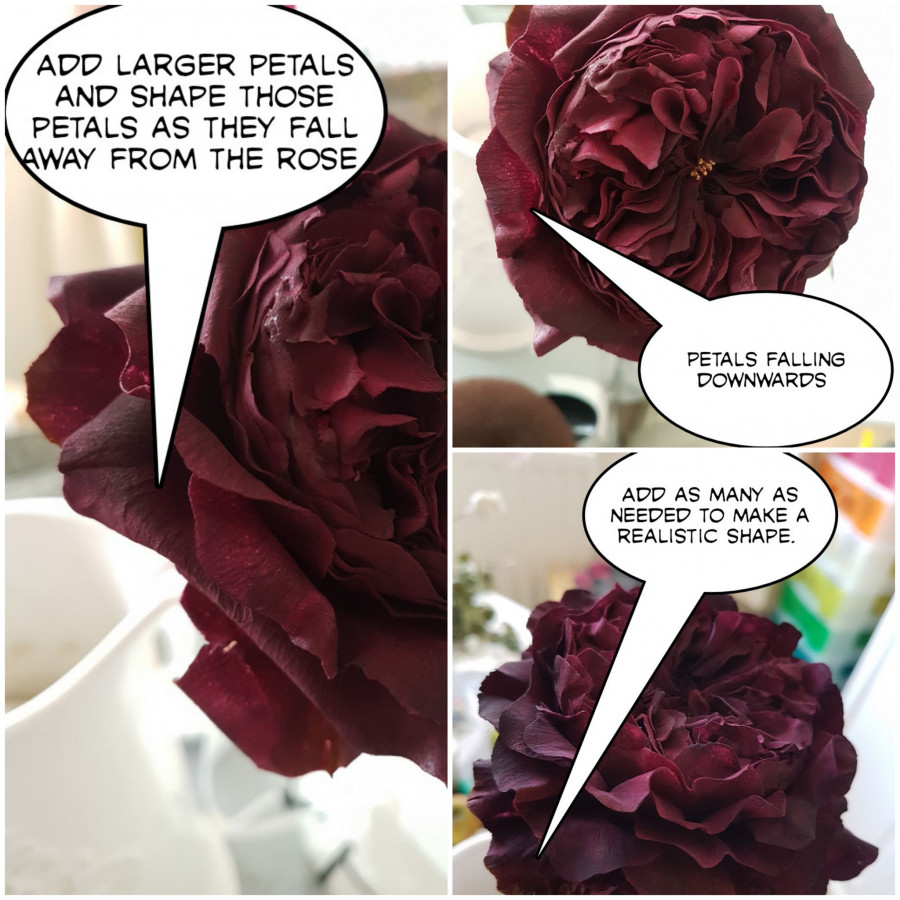 What's Going On In The World