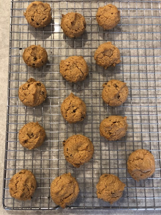 What's Going On In The World