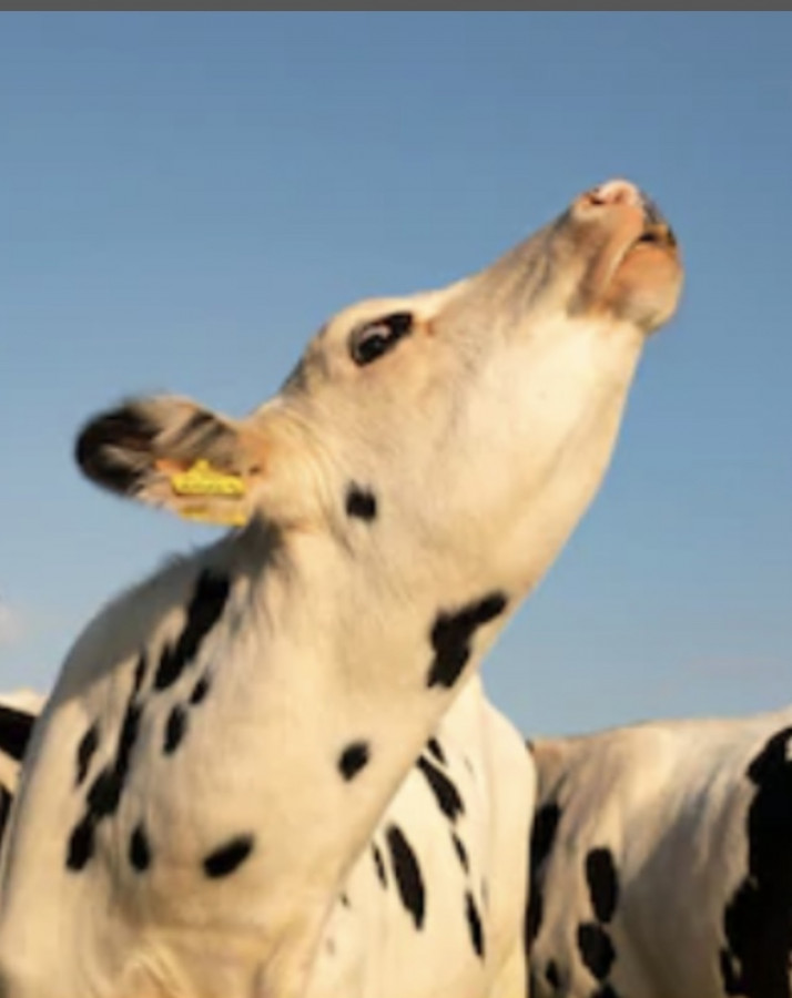 So Quiet Over Here...