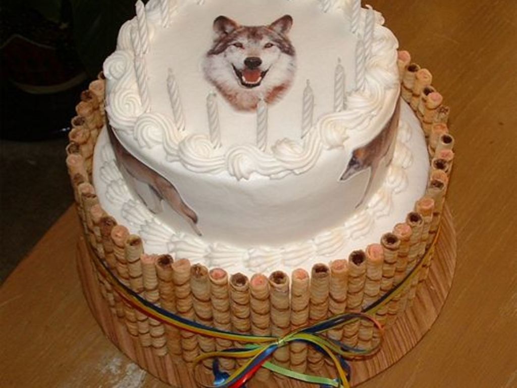 Wolf Birthday Cake Cakecentral Com