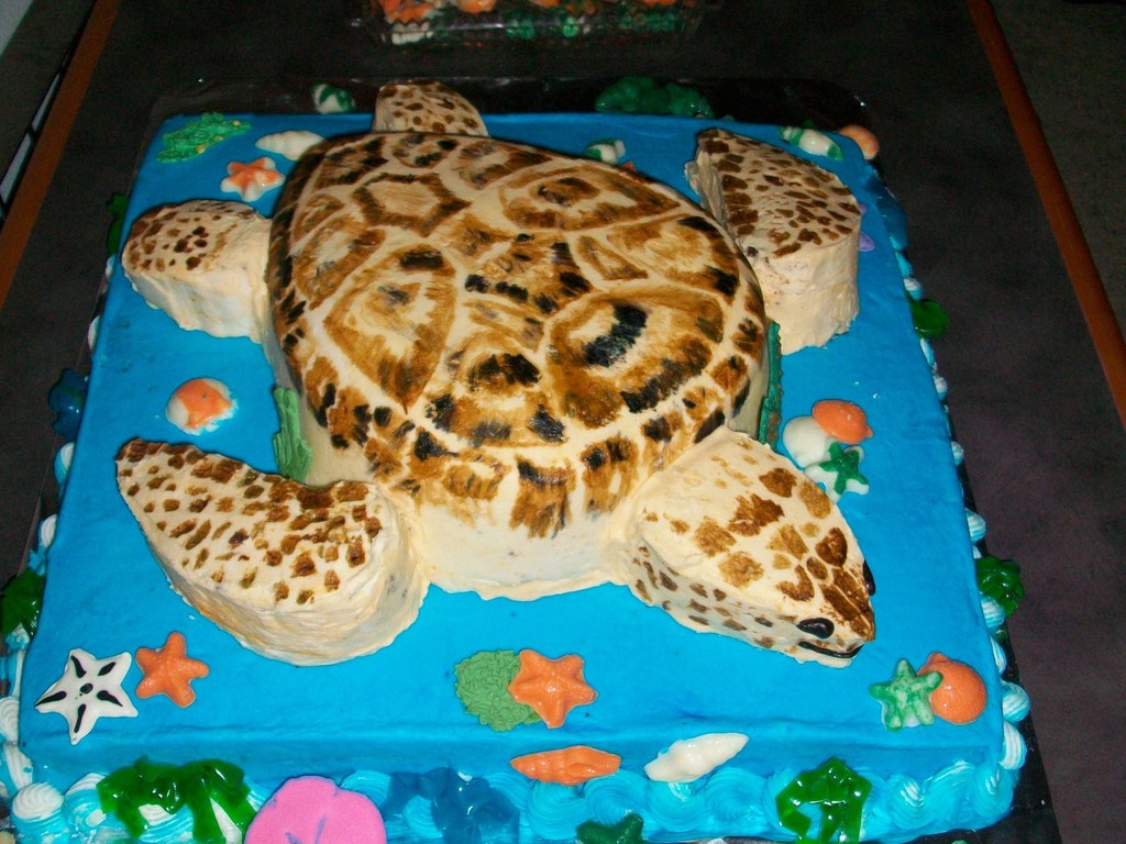 sea turtle birthday cake