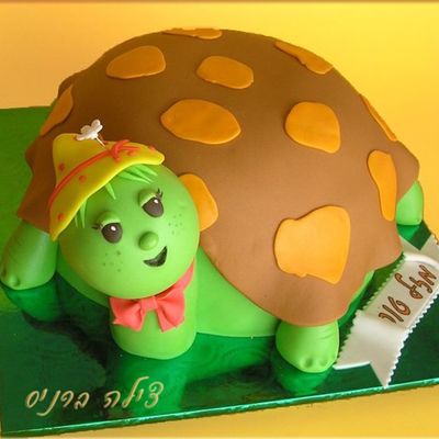 turtle cake photos