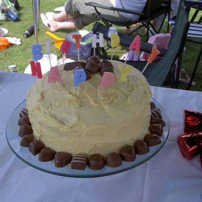 sponge cakes photos