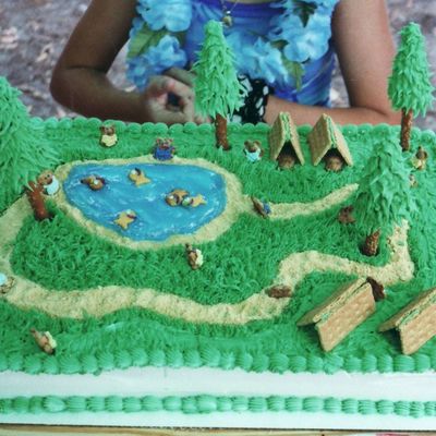 Camping Tent Cake Decorating Photos
