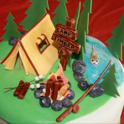 Camping Tent Cake Decorating Photos