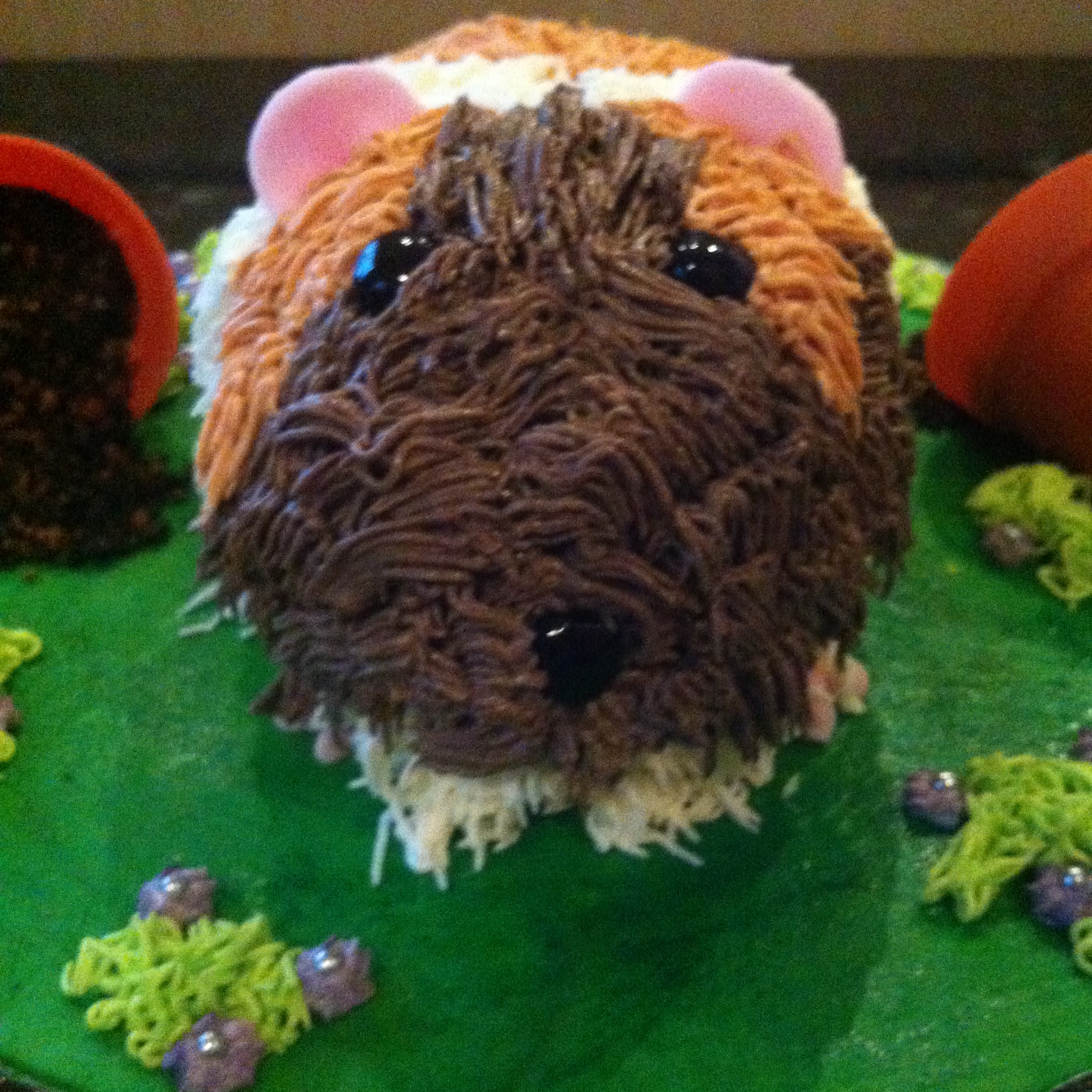 Guinea Pig Birthday Cake