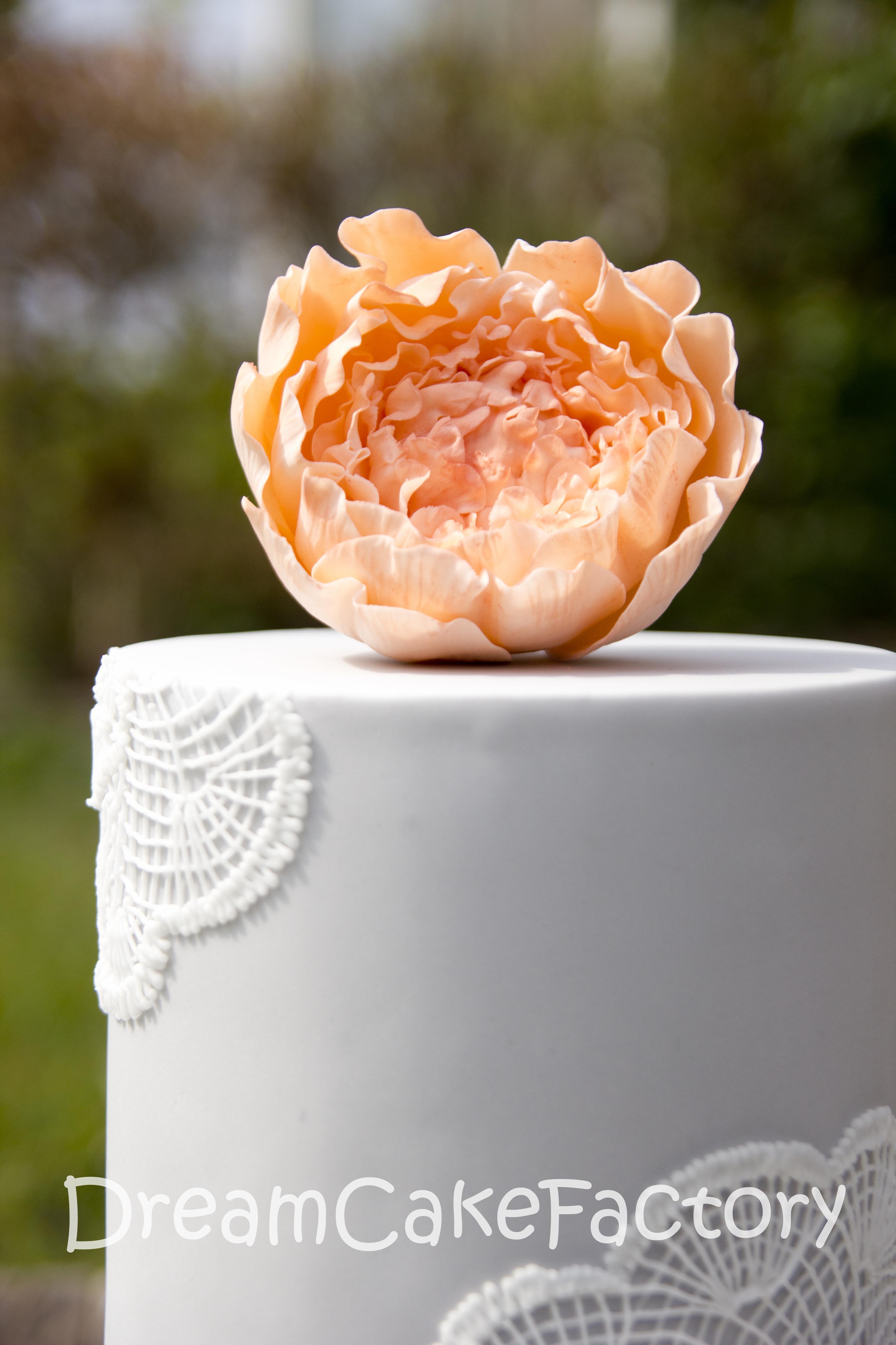 Doilies And Peony