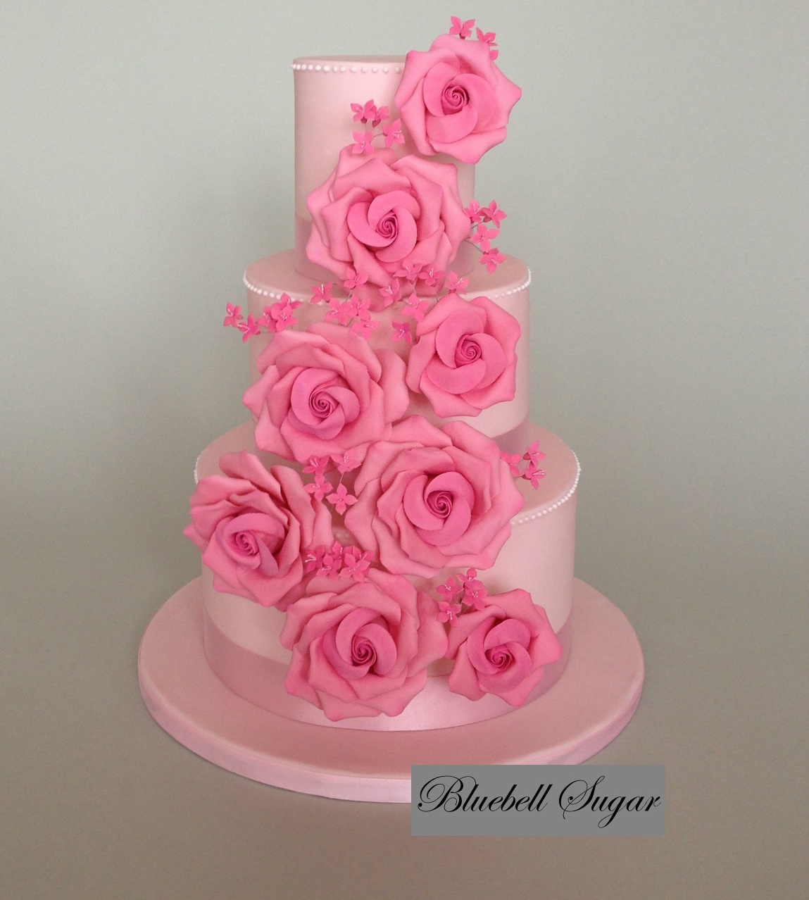 Wedding Cake Roses