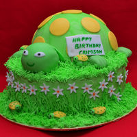 Chocolate Sponge Cake Chocolate sponge cake..