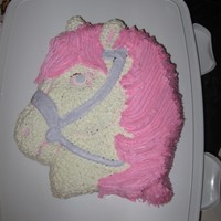 Horse Birthday Cake Chocolate cake with BC frosting. Made for my daughter's 6th birthday.