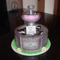 Fountain Of Youth Cake 8" white cake covered in BC, sprayed with silver luster. Top of fountain is fondant.