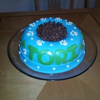 Dogfood Bowl Cake I made this for my daughter who loves dogs! Chocolate cake with vanilla buttercream all covered in fondant. Cocoa puffs are in the center...