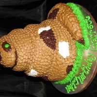 Python Cake For a 6 year old boy who LOVES Pythons