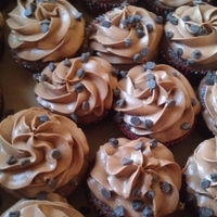Chocolate Chip Cupcakes 