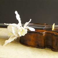 Violin Almond-cocoa genoise (Ann Amernick's recipe), apricot glaze, apricot filling, almond paste and fondant covers.