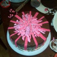 Img00022.jpg top view