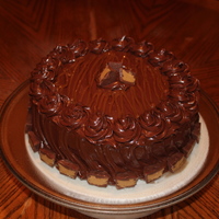 Chocolate Peanut Buttercup Cake chocolate peanut buttercup cake with fudge peanut butter frosting and filling ,,,,mmm mm yummy