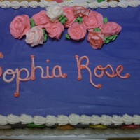 Baby Shower Cake Half Chocolate half vanilla with buttercream frosting and MMF dots~matches invitations given by customer