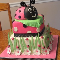 Ladybug Birthday Cake Cake made for a colleague's daughter. Top tier is yellow cake with ganache filling, bottom tier is triple chocolate fudge with vanilla...