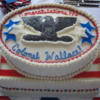 Air Force Promotion To Colonel Each tier is one layer of vanilla cake and one layer of chocolate cake with a raspberry and buttercream filling. Iced in vanilla...