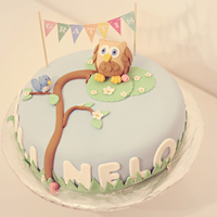 Owl Birthday Cake For Mili & Nelo Birthday cake for Mili and Nelo...