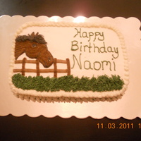 Horse Lover Birthday Cake! 