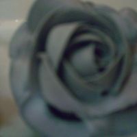 Cupcake Chocolate cake. MMBC rose