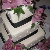 Square Ivory With Orchids Square cake with a brown ribbon and decorated with fresh orchids.