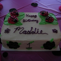 Ladybug 1St Bday 